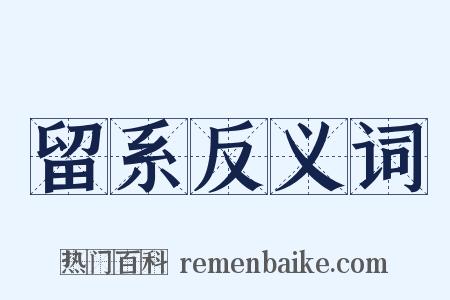 留系反义词是什么意思的图片